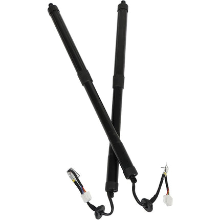 Findmall 2 Pcs Black Rear Tailgate Lift Supports Struts