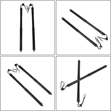 Findmall 2 Pcs Black Rear Tailgate Lift Supports Struts