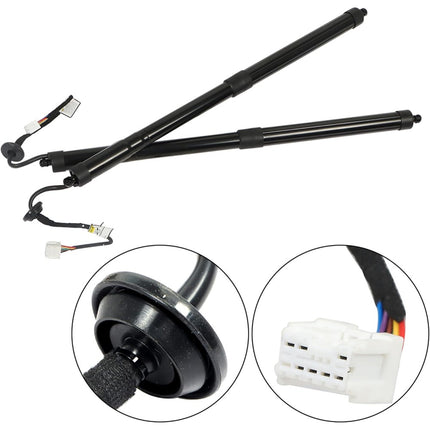 Findmall 2 Pcs Black Rear Tailgate Lift Supports Struts