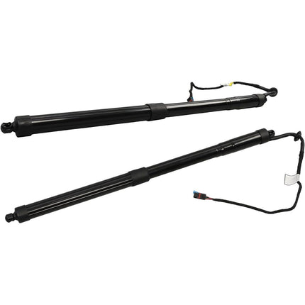 Findmall Liftgate Lift Supports Set of 2 Driver & Passenger Side