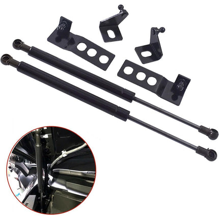 Findmall 2pcs Engine Hood Lift Support Shock Strut Damper Replacement for RAV4 2019-2020