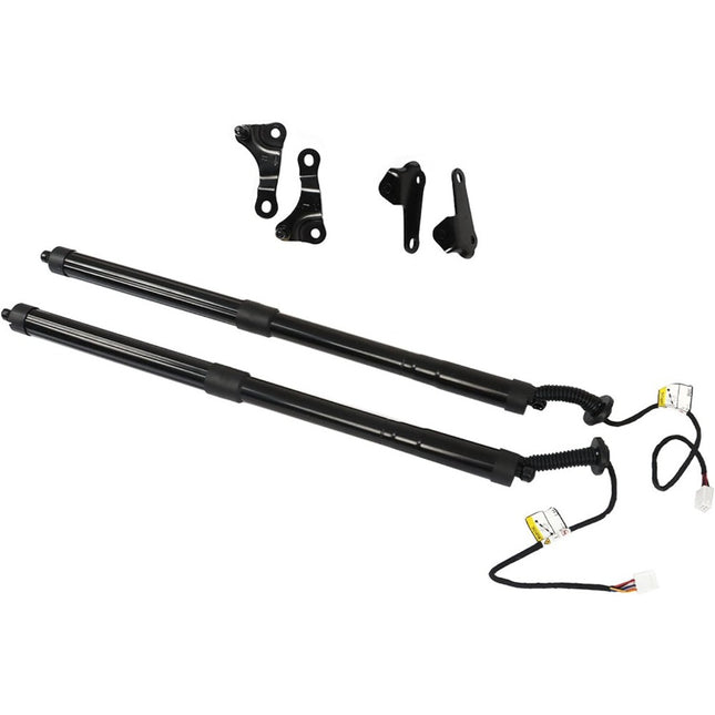 Findmall Power Liftgate Support for 2015-2017 NX 200t/NX 300h