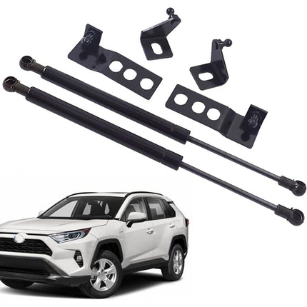 Findmall 2pcs Engine Hood Lift Support Shock Strut Damper Replacement for RAV4 2019-2020
