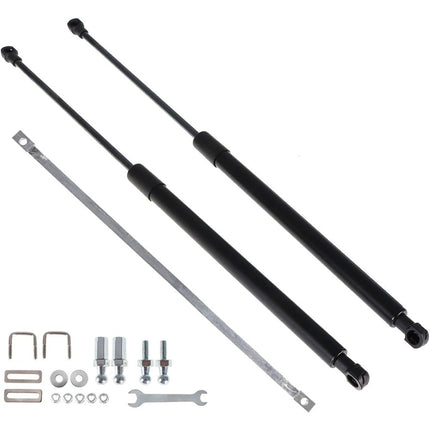 Findmall Rear Trunk Hydraulic Rod Strut Spring Bars Shock-2 Pcs Set with Bracket Replacement for Accord 10th Generation Models 2018 2019