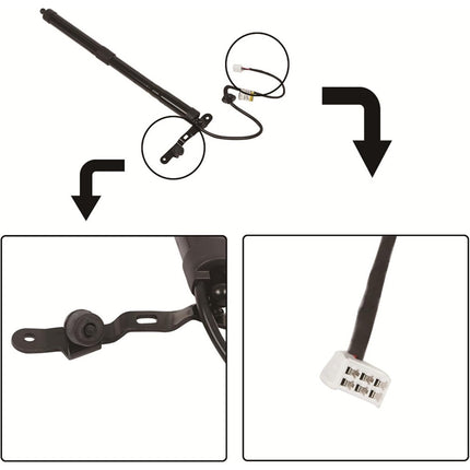 Findmall Right Side Rear Tailgate Hatch Lift Support Strut with Opener