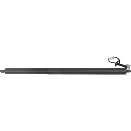 Findmall Tailgate Power Lift Support Strut Rear Left Black Steel Replacement for 2013-2019 Escape CJ54S402A55AD