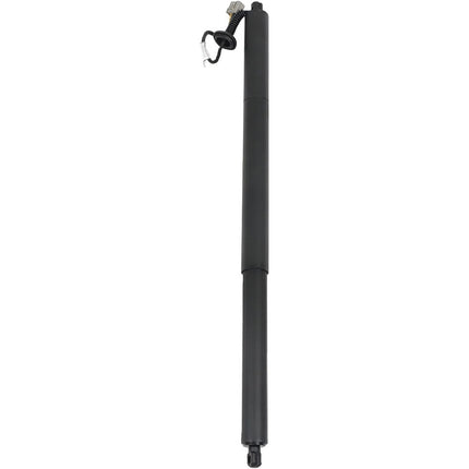 Findmall Tailgate Power Lift Support Strut Rear Left Black Steel Replacement for 2013-2019 Escape CJ54S402A55AD