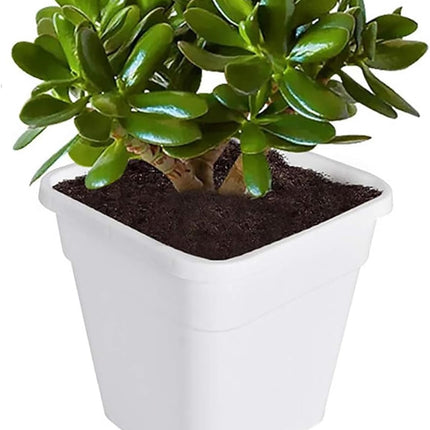Findmall 5-Pack 10 Gallon Square Planter Nursery Pots, Flower Plant Container Injection Molded Plastic Nursery Pots Gardening Pots for Indoor Outdoor Vegetables, Succulents, White
