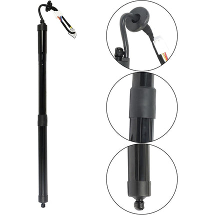 Findmall 2 Pcs Black Rear Tailgate Lift Supports Struts