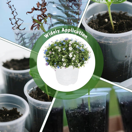 Findmall 36 Pack Clear Plastic Nursery Pots 6.7/5/4/3.5 Inch with Drainage Holes, Seedling Pots for Transplanting, Planting and Growing Flowers, Vegetables and Herbs