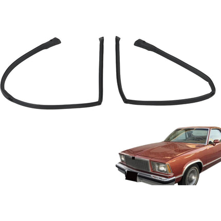 Findmall Roof Rail Weatherstrip Seals for 1978-1987 GMC Caballero & Chevrolet El Camino, Pair