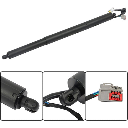 Findmall Rear Left Driver Hatch Lift Support Replacement for Explorer 2015 SUV Replacement for FB5Z14B351A
