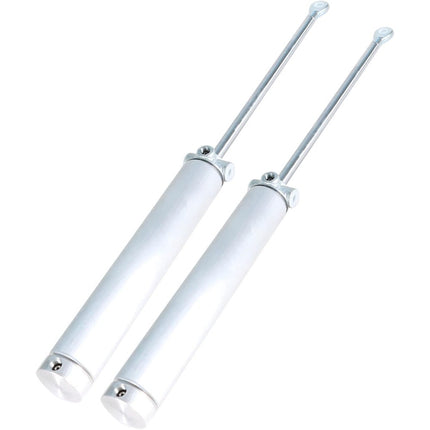 Findmall 2 Pcs Aluminum Convertible Top Piston Hydraulic Lift Cylinder Replacement for Mustang 1999-2004